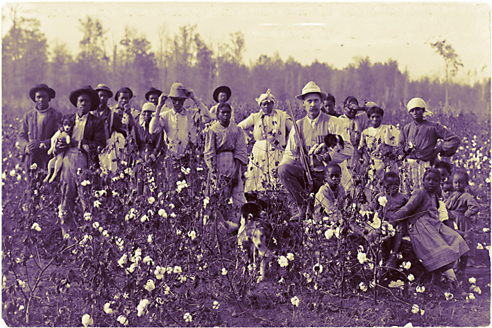 Esclaves noirs dans les plantations de coton aux USA - © Wisconsin Public Radio